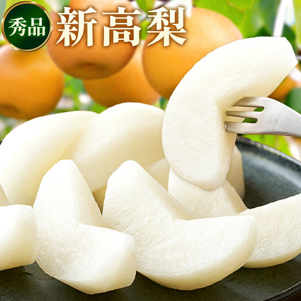 先行予約 新高梨 約 1.8kg 4〜7玉 約 5kg 6〜16玉 約 10kg 12〜32玉 日本フルーツ株式会社《9月上旬-10月上旬頃出荷》熊本県 荒尾市 新高梨 梨 果物 フルーツ スイーツ デザート ギフト ご贈答