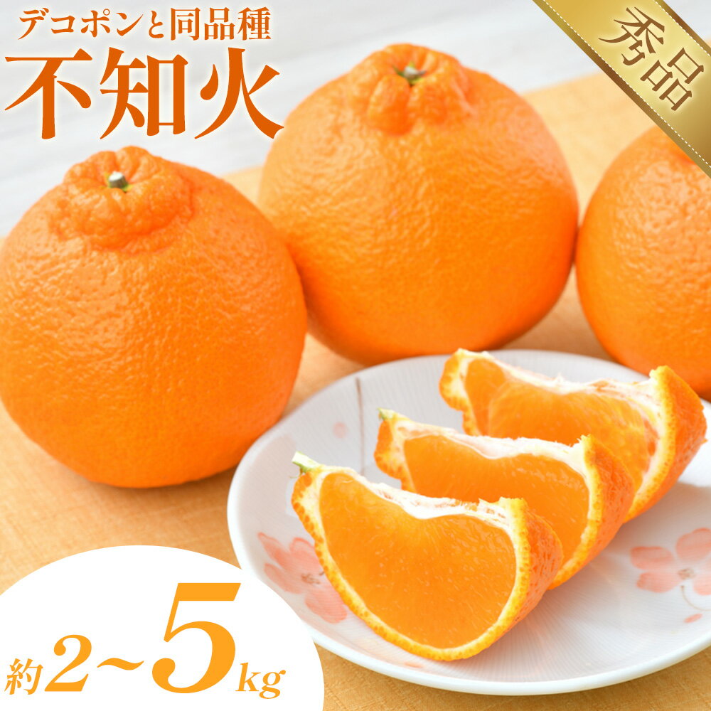 不知火 デコポン 同品種 選べる 内容量 約2kg～約5kg 日本フルーツ株式会社 熊本県 荒尾市 《1月下旬-2月末頃出荷予定》 デコポン 果物 秀品 フルーツ スイーツ デザート ギフト ご贈答