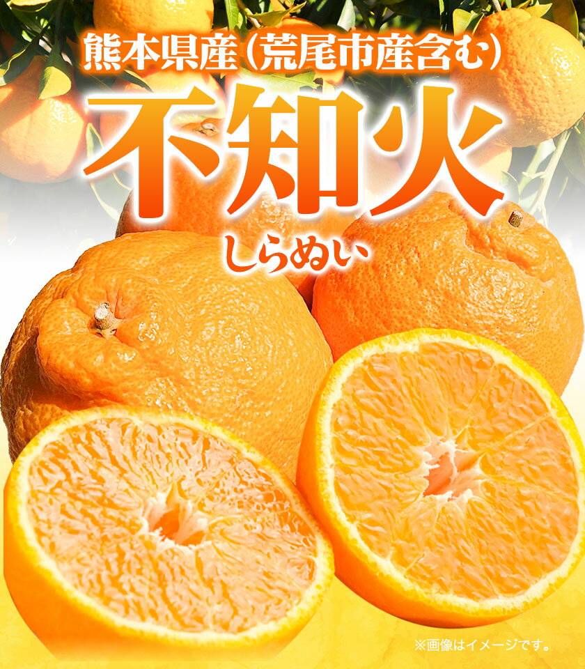 【ふるさと納税】 不知火 約3kg または 約4.5kg〜5kg 《2月下旬-4月下旬頃出荷》熊本県産 (荒尾市産含む) 柑橘 フルーツ フレッシュフーズ 不知火 果物 デコポン と同品種 送料無料 果物 しらぬい 旬 オレンジ みかん 5kg サムネイル2