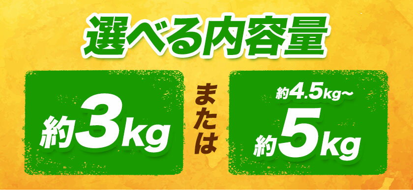 【ふるさと納税】 不知火 約3kg または 約4.5kg〜5kg 《2月下旬-4月下旬頃出荷》熊本県産 (荒尾市産含む) 柑橘 フルーツ フレッシュフーズ 不知火 果物 デコポン と同品種 送料無料 果物 しらぬい 旬 オレンジ みかん 5kg サムネイル3