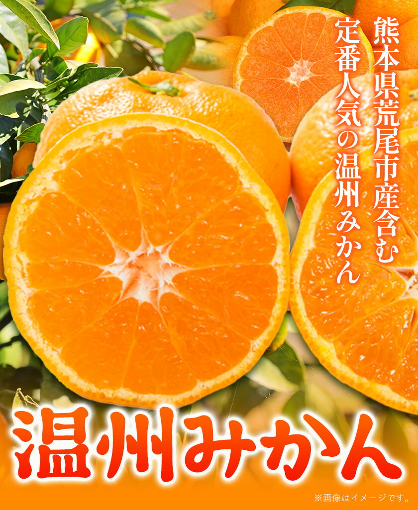 【ふるさと納税】 みかん 温州みかん 約 5kg 約 10kg 熊本県 荒尾市産含む 《11月上旬-12月上旬頃出荷》送料無料 熊本県 荒尾市 フレッシュフーズ 柑橘 フルーツ ミカン 蜜柑 果物 サムネイル2
