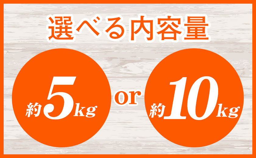 【ふるさと納税】 みかん 温州みかん 約 5kg 約 10kg 熊本県 荒尾市産含む 《11月上旬-12月上旬頃出荷》送料無料 熊本県 荒尾市 フレッシュフーズ 柑橘 フルーツ ミカン 蜜柑 果物 サムネイル3