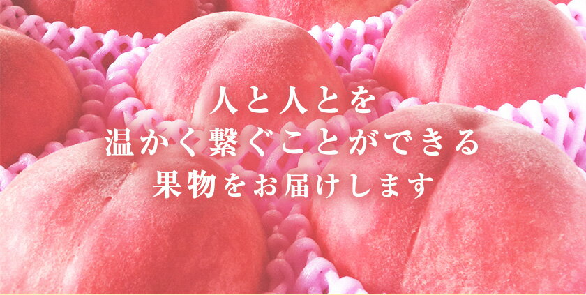 【ふるさと納税】 【2026年 先行予約 】桃 六月のはなよめ 約1.8〜2kg もも モモ 旬 フルーツ 果物 熊本県荒尾市産 桃 高口果樹園 【日付指定不可】《2026年6月上旬-6月下旬頃出荷》六月の花嫁 サムネイル3