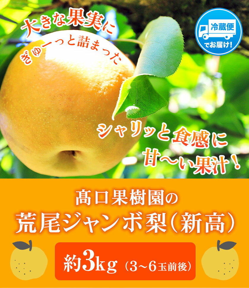 【ふるさと納税】 【2026年 先行予約 】梨 新高 ジャンボ梨 ( 新高梨 ) 約 3kg (3〜6玉前後) なし 荒尾梨 にいたか フルーツ 果物 デザート 旬 熊本県荒尾市産 高口果樹園《2026年10月上旬-11月末頃出荷》 - 画像2