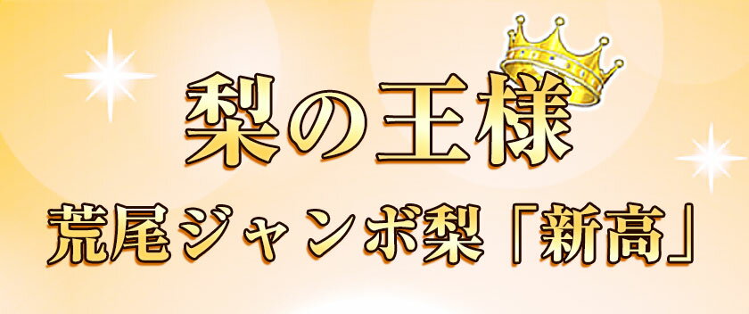 【ふるさと納税】 【2026年 先行予約 】梨 新高 ジャンボ梨 ( 新高梨 ) 約 3kg (3〜6玉前後) なし 荒尾梨 にいたか フルーツ 果物 デザート 旬 熊本県荒尾市産 高口果樹園《2026年10月上旬-11月末頃出荷》 - 画像3