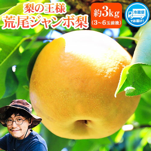 【2026年 先行予約 】梨 新高 ジャンボ梨 ( 新高梨 ) 約 3kg (3〜6玉前後) なし 荒尾梨 にいたか フルーツ 果物 デザート 旬 熊本県荒尾市産 高口果樹園《2026年10月上旬-11月末頃出荷》