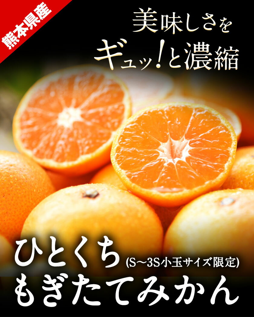 【ふるさと納税】先行予約 訳あり みかん 小玉 ひとくちもぎたてみかん 約 4.5kg 約 7kg 約 10kg 《2026年9月下旬-12月下旬頃出荷》 S-3Sサイズ 訳あり ご家庭用 熊本県産 期間限定 フルーツ 果物 旬 みかん - 画像3