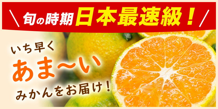 【ふるさと納税】＜内容量見直し中＞先行予約 訳あり みかん 小玉 ひとくちもぎたてみかん 約 5kg 約 7kg 約 8kg 約 10kg S-3Sサイズ 訳あり ご家庭用 熊本県産 期間限定 フルーツ 果物 旬 みかん《2026年9月下旬-12月下旬頃出荷》 - 画像2
