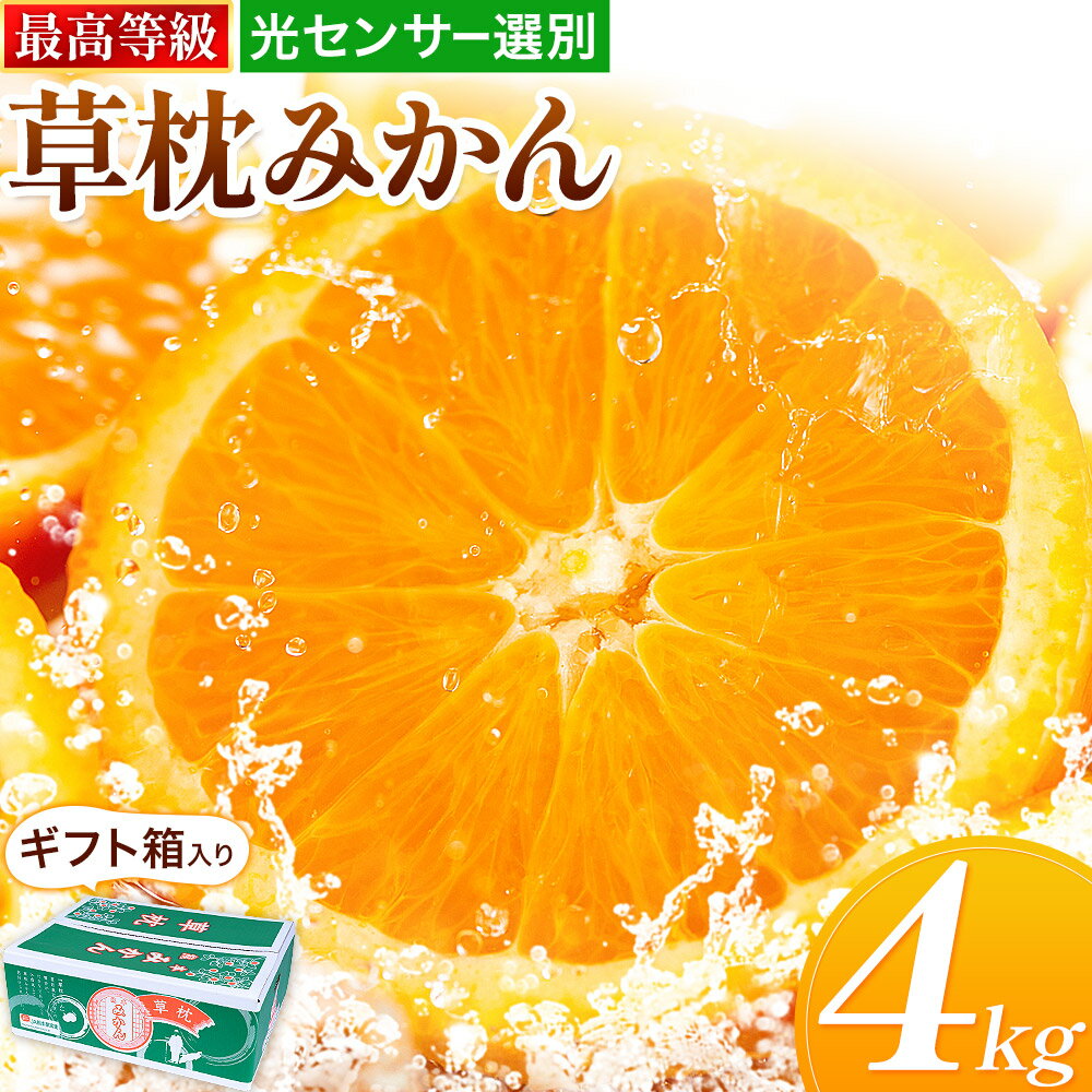 みかん 草枕みかん 約4kg 光センサー《11月上旬-12月上旬頃出荷》贈答用 ギフト 旬 熊本県 荒尾市 フルーツ 柑橘 ミカン 草枕 デザート 送料無料