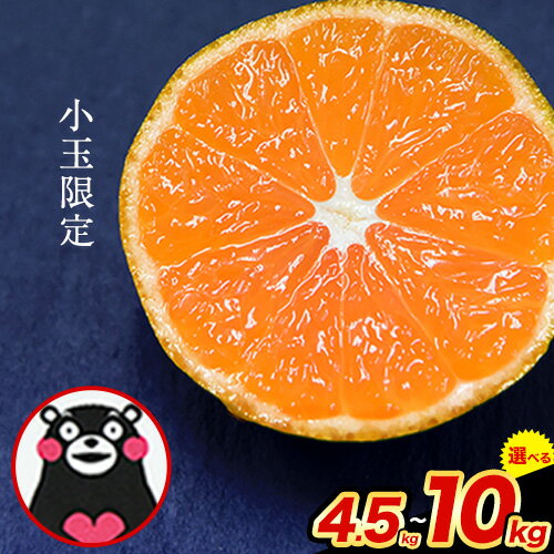 【2025年先行予約】訳あり みかん 小玉 ひとくちもぎたてみかん 約 4.5kg (4.5kg×1箱) 約 7kg (3.5kg×2箱/7kg×1箱) 約 10kg (10kg×1箱) S-3Sサイズ 訳あり ご家庭用 熊本県産 期間限定 フルーツ 果物 旬 みかん《10月中旬-12月末頃出荷》