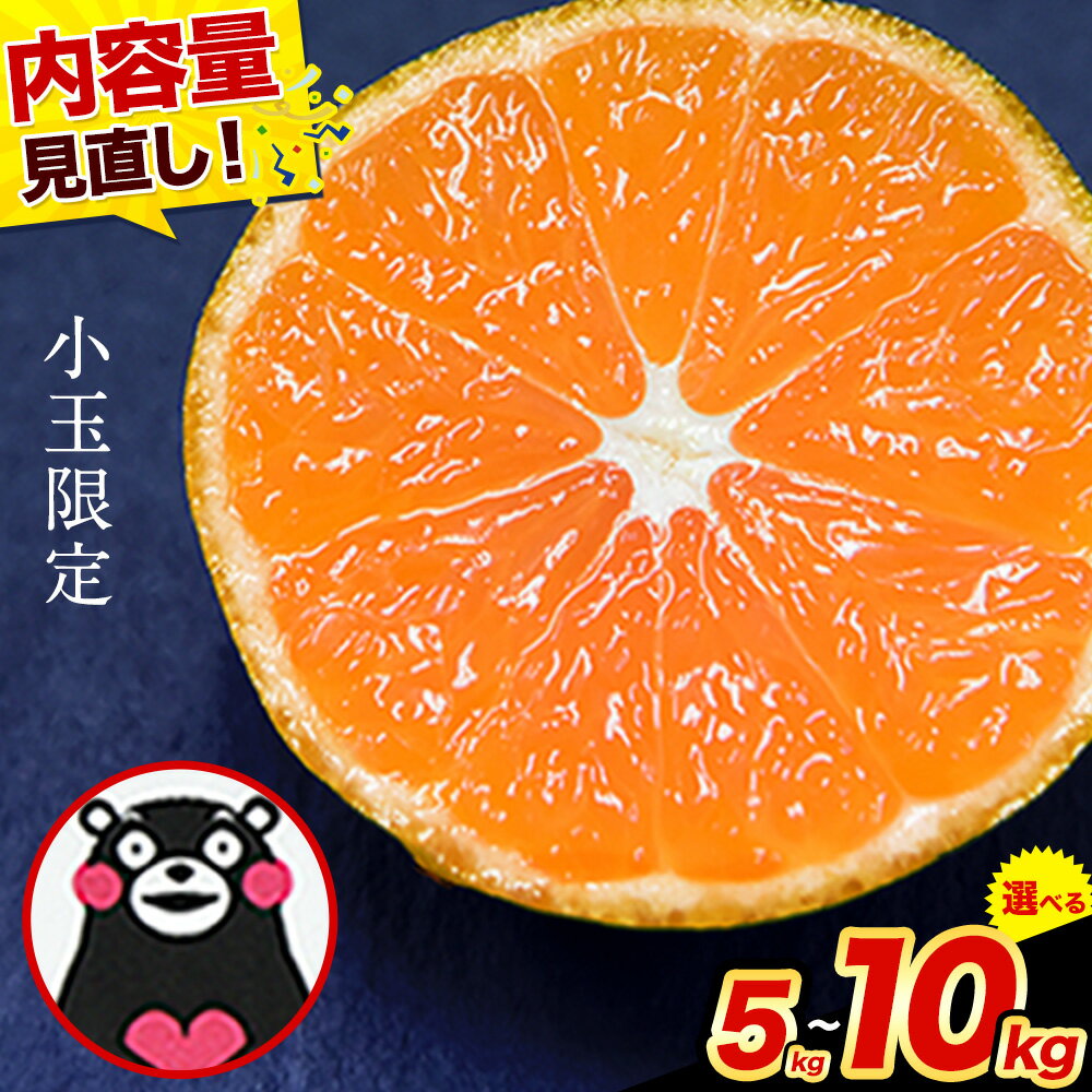 ＜内容量見直し中＞先行予約 訳あり みかん 小玉 ひとくちもぎたてみかん 約 5kg 約 7kg 約 8kg 約 10kg S-3Sサイズ 訳あり ご家庭用 熊本県産 期間限定 フルーツ 果物 旬 みかん《2026年9月下旬-12月下旬頃出荷》