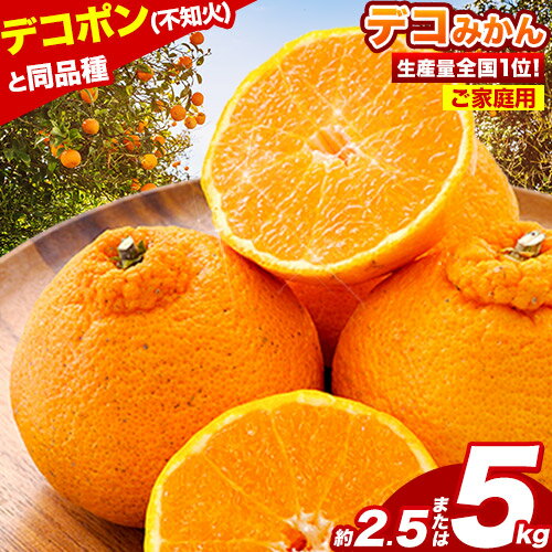 不知火 デコみかん ( デコポン と同品種 ) ご家庭用 訳あり 熊本県産 ( 荒尾市産含む ) 約2.5kg or 約5kg (12-24玉前後) 柑橘 《2026年2月上旬-4月末頃出荷》 みかん フルーツ 不知火 訳アリ でこみかん 果物 5kg