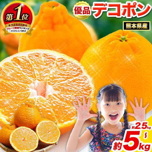 先行予約 デコポン ご家庭用 デコポン 約5kg 前後 (約12-24玉前後) 糖度13度以上 訳あり デコポン 《2026年2月上旬-4月末頃出荷》 個別光センサー選果 みかん 柑橘 フルーツ 旬 不知火 でこぽん 期間限定 厳選
