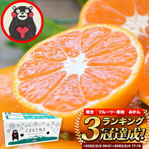 みかん 訳あり 大玉 大粒 ミカン 3kg 6kg 9kg 熊本 ちょっと 訳あり 傷 5L〜3Lサイズ 約6kg たっぷり 熊本県産(荒尾市産含む) 熊本県 期間限定 フルーツ 旬 柑橘 ご家庭用 荒尾市 大粒《2026年1月中旬-2月末頃出荷》果物