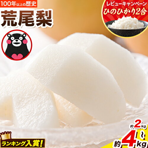 ＜ひるおびで紹介されました＞ 梨 荒尾梨 約2kg または 4kg なし フルーツ 果物 旬 《2025年8月下旬‐11月中旬頃出荷》熊本県 荒尾市 旬の梨 幸水 秋麗 豊水 あきづき 新高 など 合計8種のいずれか（品種指定不可）