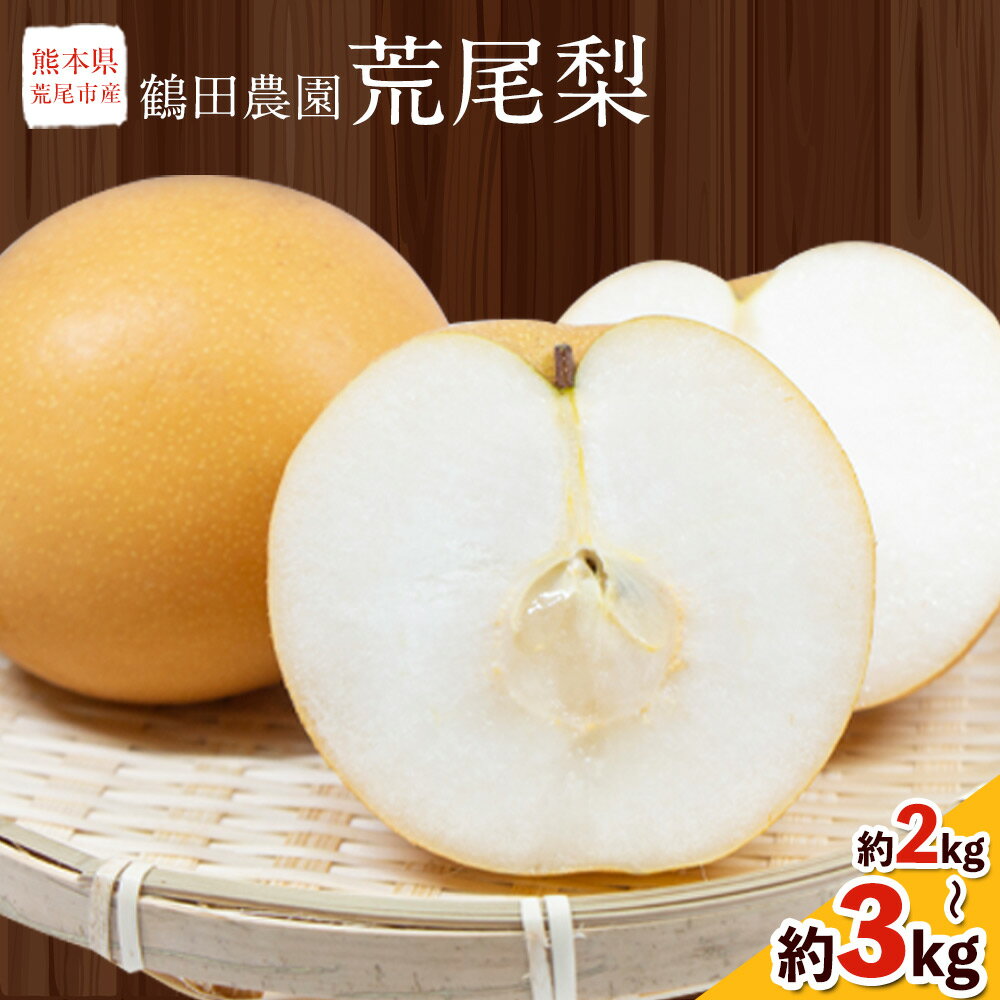 先行予約 梨 季節の梨 旬の品種 豊水 あきづき 甘太 のいずれか 約 2kg 5〜6玉 3kg 6〜9玉 和梨 なし フルーツ 果物 秋 旬 熊本県 荒尾市産 鶴田農園《8月下旬-9月下旬頃出荷》