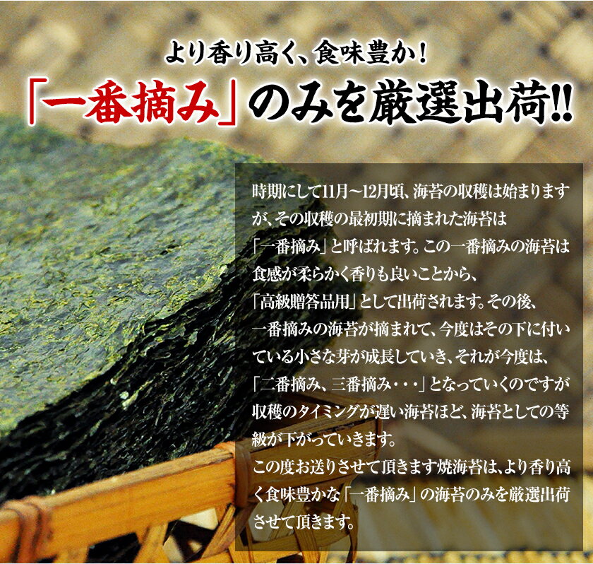 【ふるさと納税】 海苔 訳あり 一番摘み 海苔 全形 40枚〜120枚 有明海産 のり 熊本県産 選べる内容量 大容量 小分け 全形 選べる 40枚 80枚 120枚 《出荷時期をお選びください》 のり 初摘み 生活応援 - 画像3