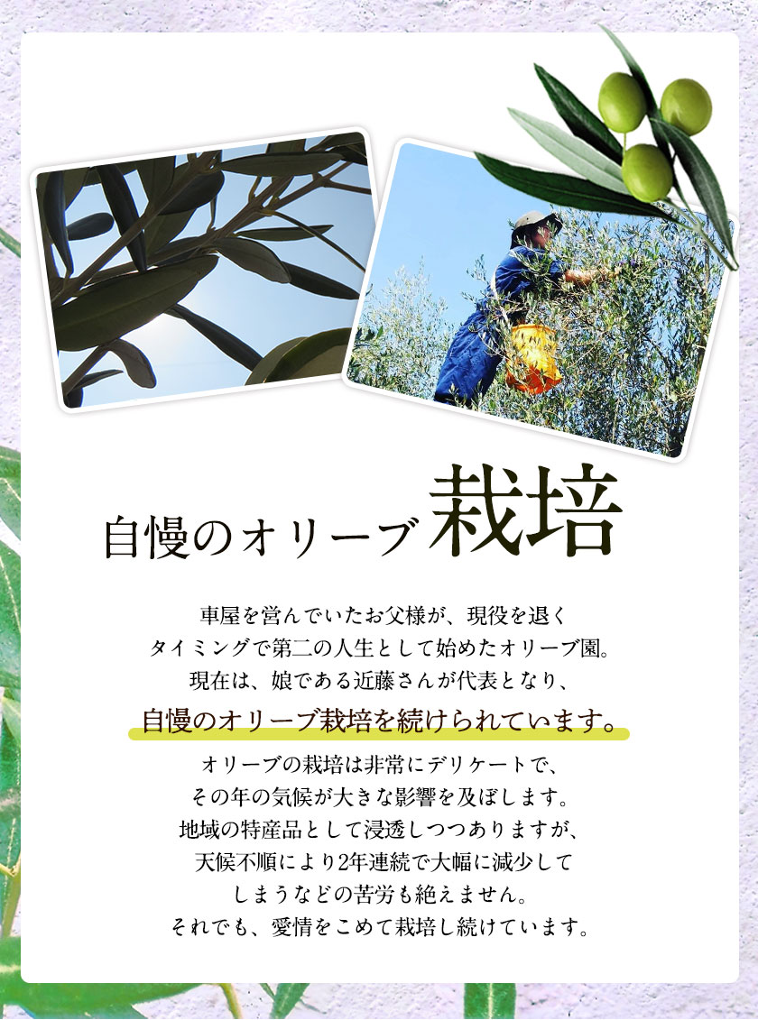 【ふるさと納税】荒尾市産オリーブオイル使用の玉ねぎドレッシング 2本セット 荒尾オリーブファーム合同会社《30日以内に出荷予定(土日祝除く)》 サムネイル3