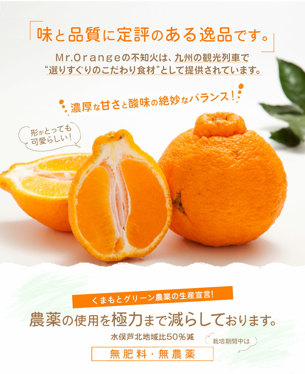 【ふるさと納税】環境マイスターの不知火 訳あり 合計約20kg 約10kg×2箱 32玉前後目安 （栽培期間中は無肥料・低農薬） 不知火 みかん 蜜柑 ミカン 柑橘 フルーツ 果物 国産 九州産 熊本県産 送料無料【2026年2月上旬‐5月上旬迄順次発送予定】 サムネイル3