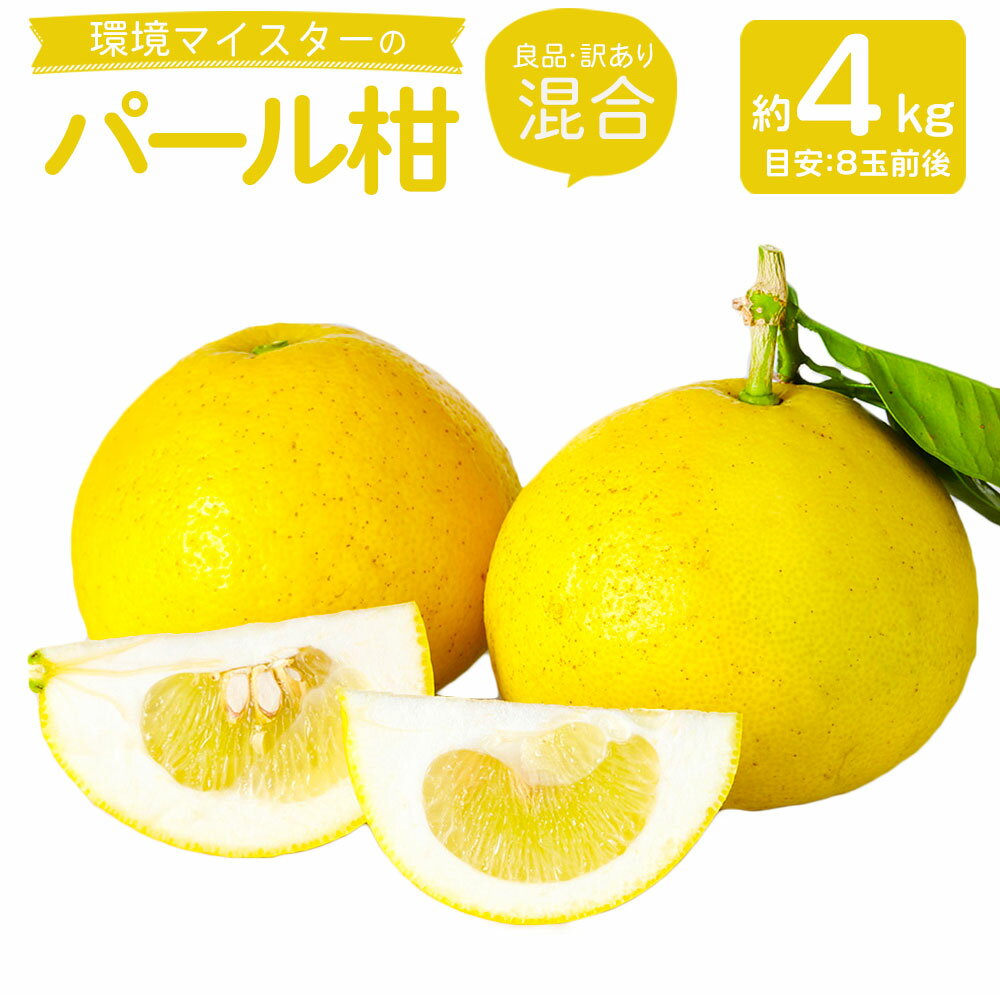 環境マイスターのパール柑 良品 訳あり 混合 約4kg 8玉前後 （栽培期間中は無肥料・農薬不使用） パール柑 グレープフルーツ 柑橘 果物 国産 九州産 熊本県産 冷蔵 送料無料【2026年2月上旬‐4月上旬迄順次発送予定】