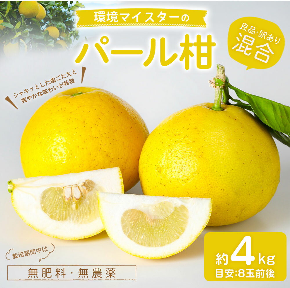 【ふるさと納税】環境マイスターのパール柑 良品 訳あり 混合 約4kg 8玉前後 （栽培期間中は無肥料・農薬不使用） パール柑 グレープフルーツ 柑橘 果物 国産 九州産 熊本県産 冷蔵 送料無料【2026年2月上旬‐4月上旬迄順次発送予定】 サムネイル2