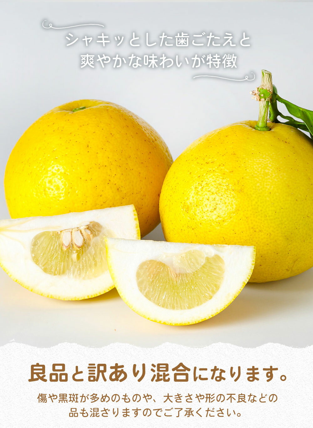 【ふるさと納税】環境マイスターのパール柑 良品 訳あり 混合 約8kg 16玉前後 （栽培期間中は無肥料・農薬不使用） パール柑 グレープフルーツ 柑橘 果物 国産 九州産 熊本県産 冷蔵 送料無料【2026年2月上旬‐4月上旬迄順次発送予定】 サムネイル3