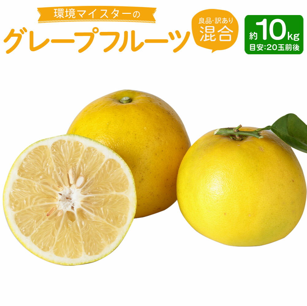 環境マイスターの グレープフルーツ 良品 訳あり 混合 約10kg 20玉前後 （栽培期間中は無肥料・農薬不使用） 柑橘 フルーツ 果物 国産 九州産 熊本県産 冷蔵 送料無料【2026年3月下旬‐5月下旬迄順次発送予定】