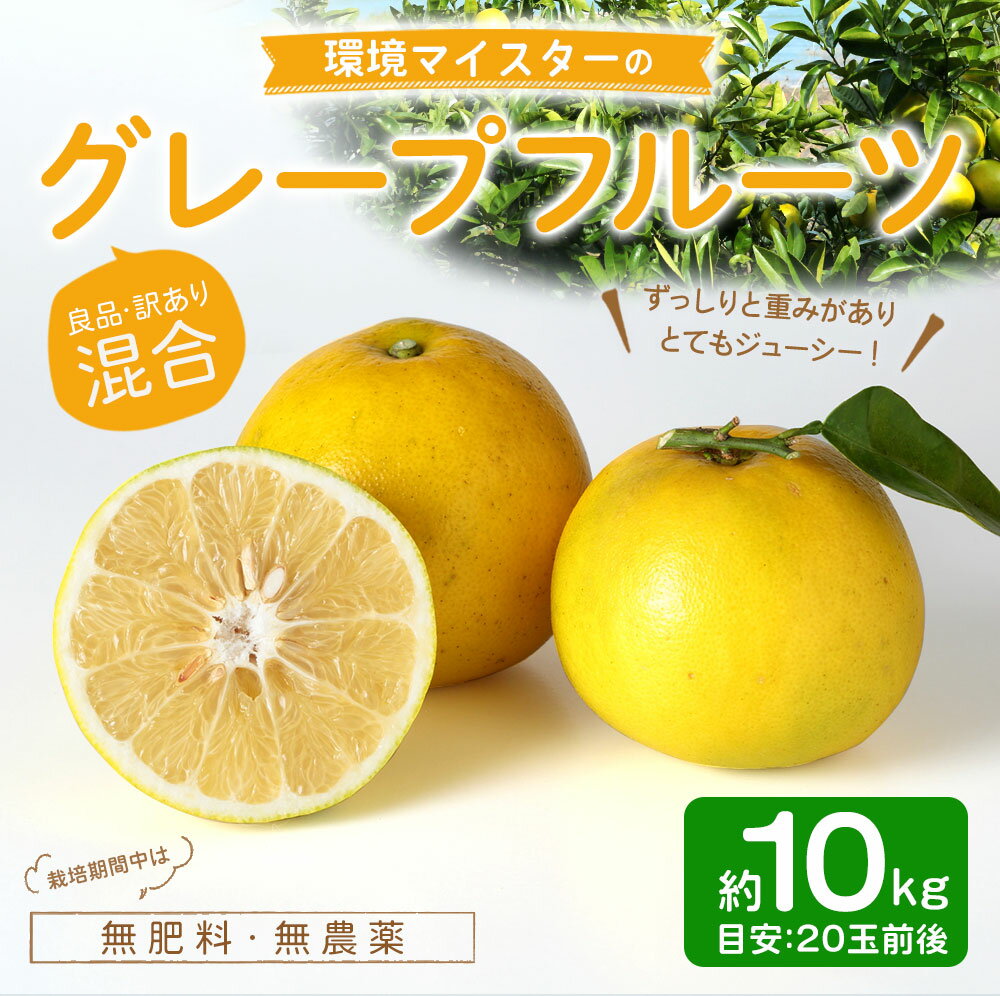 【ふるさと納税】環境マイスターの グレープフルーツ 良品 訳あり 混合 約10kg 20玉前後 （栽培期間中は無肥料・農薬不使用） 柑橘 フルーツ 果物 国産 九州産 熊本県産 冷蔵 送料無料【2026年3月下旬‐5月下旬迄順次発送予定】 サムネイル2