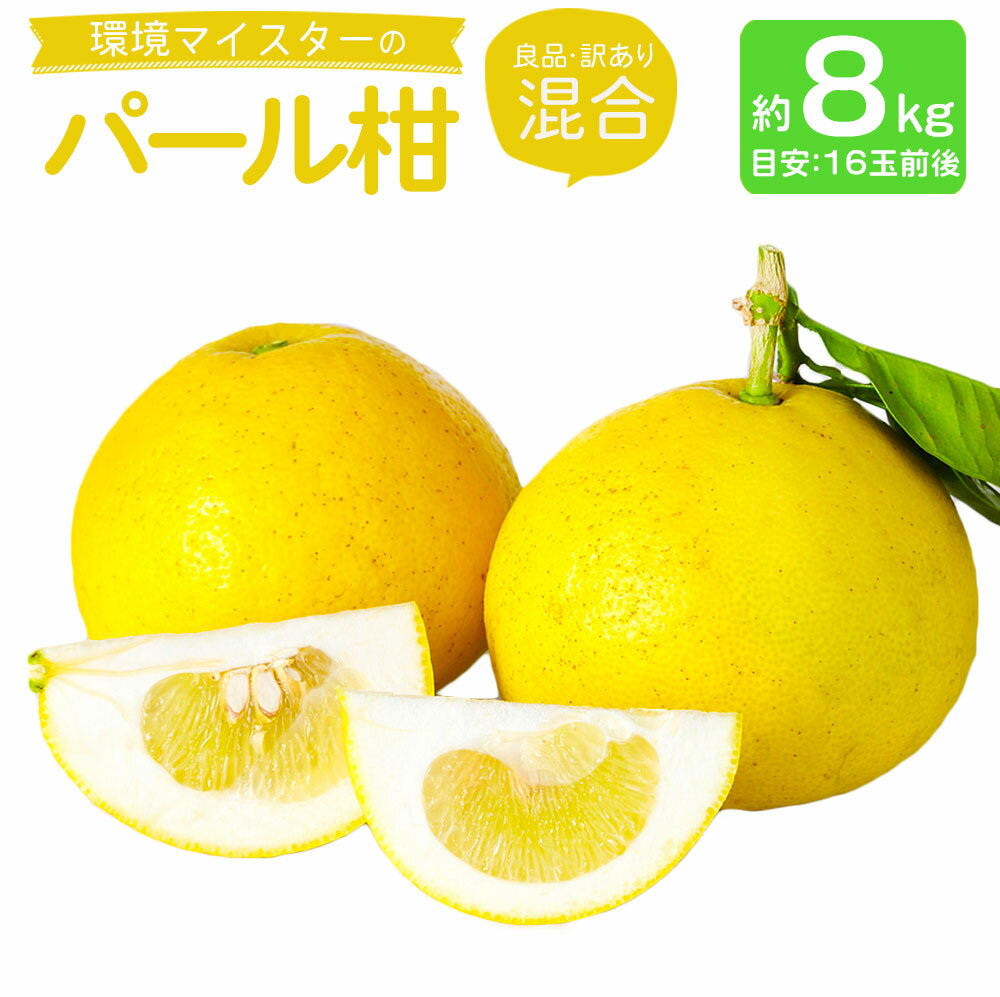 環境マイスターのパール柑 良品 訳あり 混合 約8kg 16玉前後 （栽培期間中は無肥料・農薬不使用） パール柑 グレープフルーツ 柑橘 果物 国産 九州産 熊本県産 冷蔵 送料無料【2026年2月上旬‐4月上旬迄順次発送予定】
