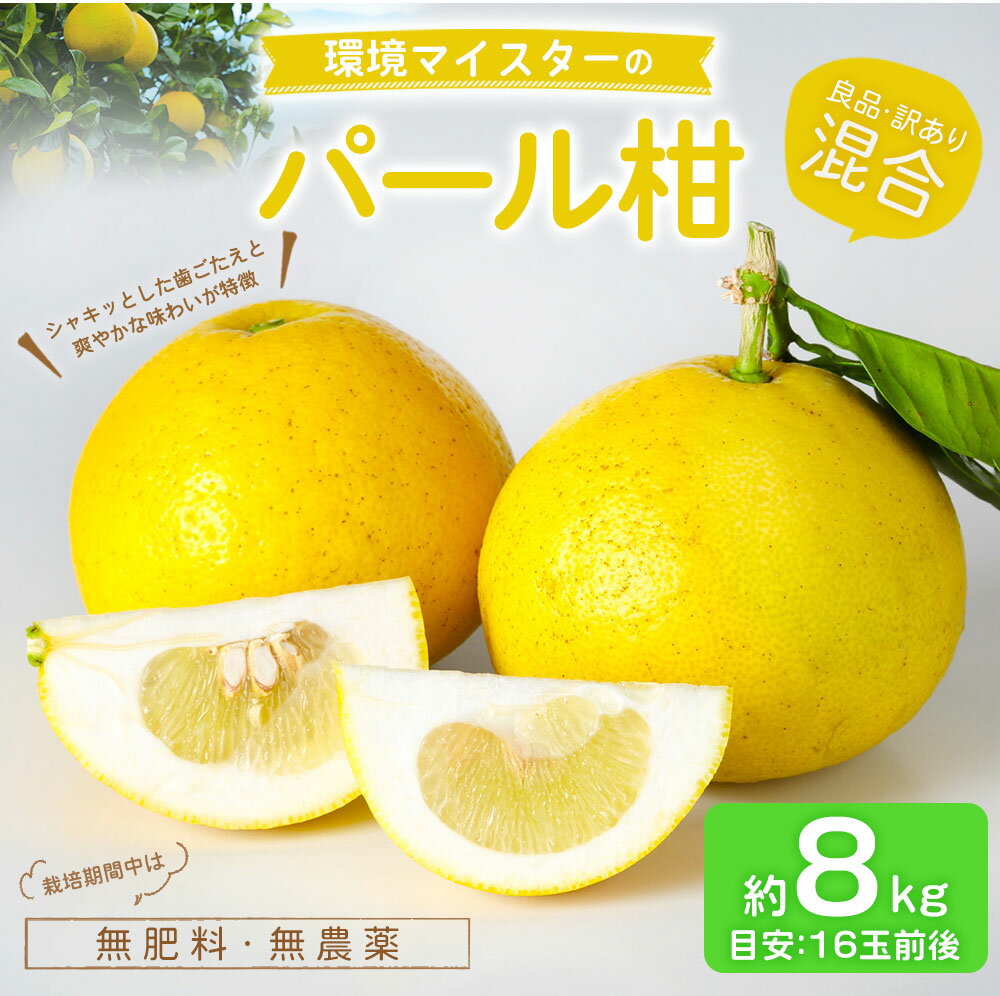 【ふるさと納税】環境マイスターのパール柑 良品 訳あり 混合 約8kg 16玉前後 （栽培期間中は無肥料・農薬不使用） パール柑 グレープフルーツ 柑橘 果物 国産 九州産 熊本県産 冷蔵 送料無料【2026年2月上旬‐4月上旬迄順次発送予定】 サムネイル2