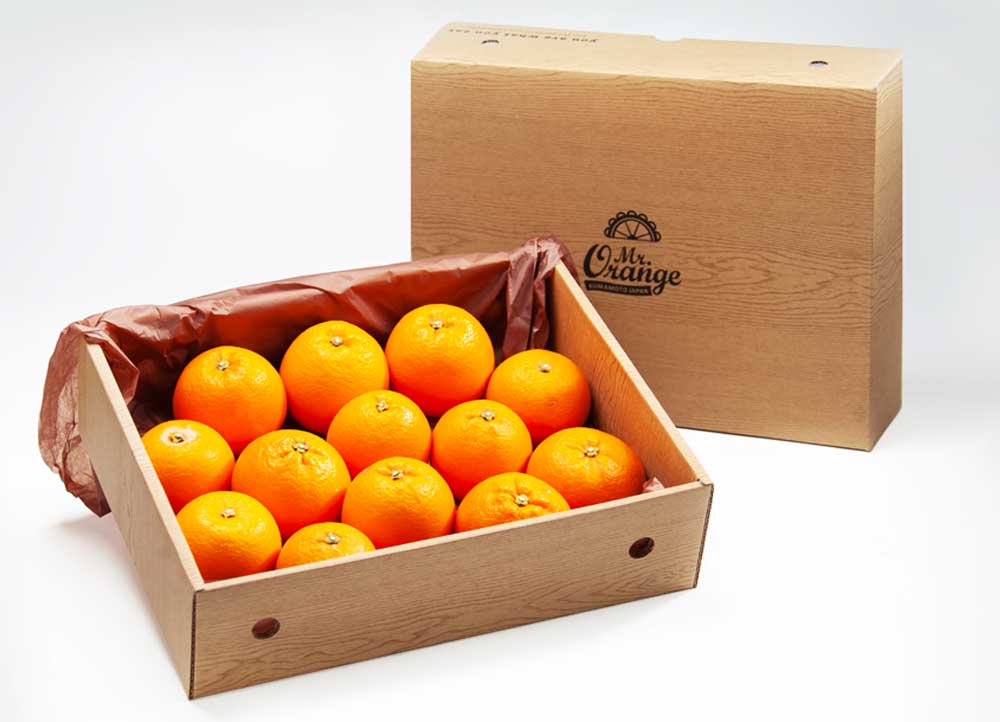 【ふるさと納税】環境マイスターのブラッドオレンジ 良品 訳あり 混合 約3kg サイズ混合 環境マイスター ブラッドオレンジ オレンジ モロ タロッコ 無農薬 無化学肥料 果物 フルーツ 熊本県産 水俣市産 送料無料【2026年2月上旬-3月上旬迄順次発送予定】 サムネイル3