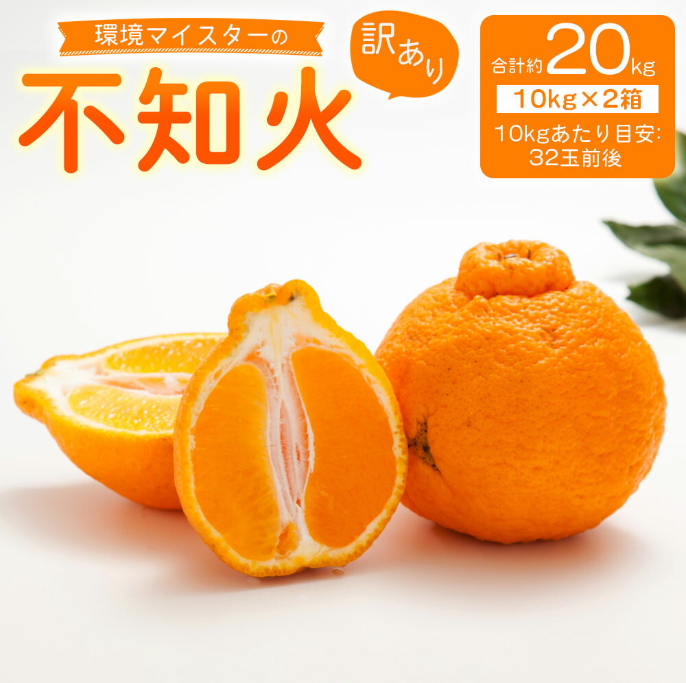 環境マイスターの不知火 訳あり 合計約20kg 約10kg×2箱 32玉前後目安 （栽培期間中は無肥料・低農薬） 不知火 みかん 蜜柑 ミカン 柑橘 フルーツ 果物 国産 九州産 熊本県産 送料無料【2026年2月上旬‐5月上旬迄順次発送予定】