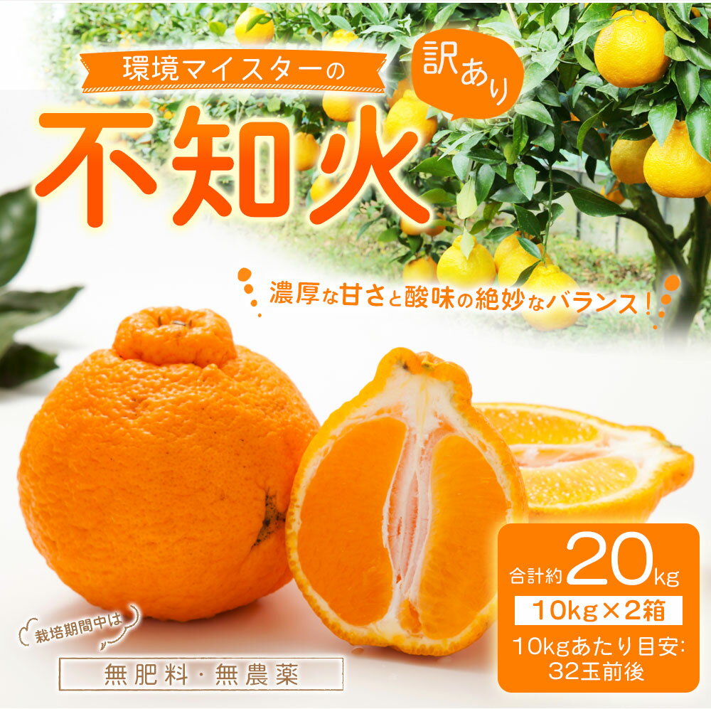 【ふるさと納税】環境マイスターの不知火 訳あり 合計約20kg 約10kg×2箱 32玉前後目安 （栽培期間中は無肥料・低農薬） 不知火 みかん 蜜柑 ミカン 柑橘 フルーツ 果物 国産 九州産 熊本県産 送料無料【2026年2月上旬‐5月上旬迄順次発送予定】 サムネイル2
