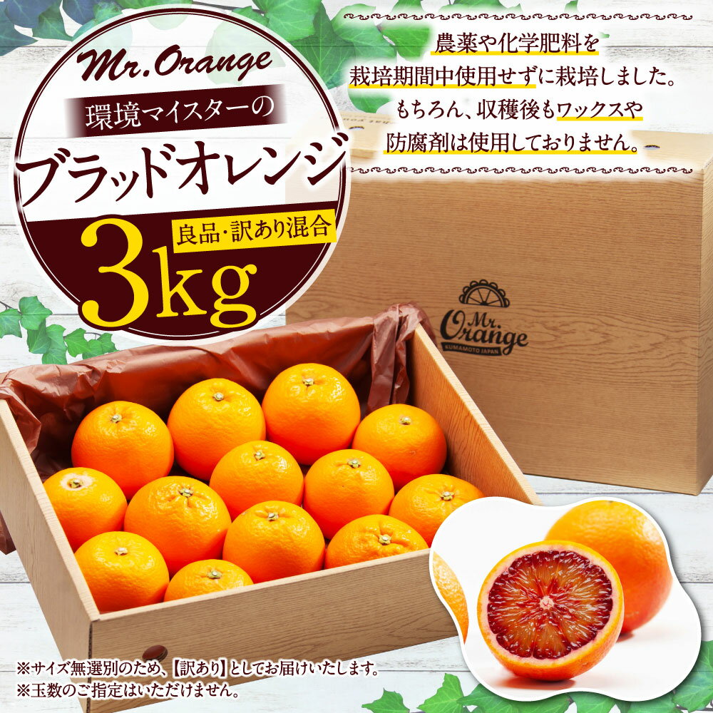 【ふるさと納税】環境マイスターのブラッドオレンジ 良品 訳あり 混合 約3kg サイズ混合 環境マイスター ブラッドオレンジ オレンジ モロ タロッコ 無農薬 無化学肥料 果物 フルーツ 熊本県産 水俣市産 送料無料【2026年2月上旬-3月上旬迄順次発送予定】 サムネイル2
