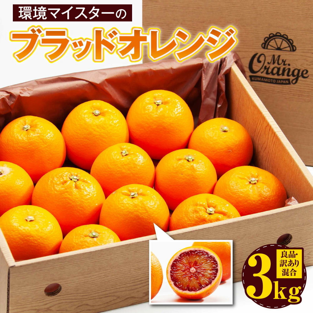 環境マイスターのブラッドオレンジ 良品 訳あり 混合 約3kg サイズ混合 環境マイスター ブラッドオレンジ オレンジ モロ タロッコ 無農薬 無化学肥料 果物 フルーツ 熊本県産 水俣市産 送料無料【2026年2月上旬-3月上旬迄順次発送予定】