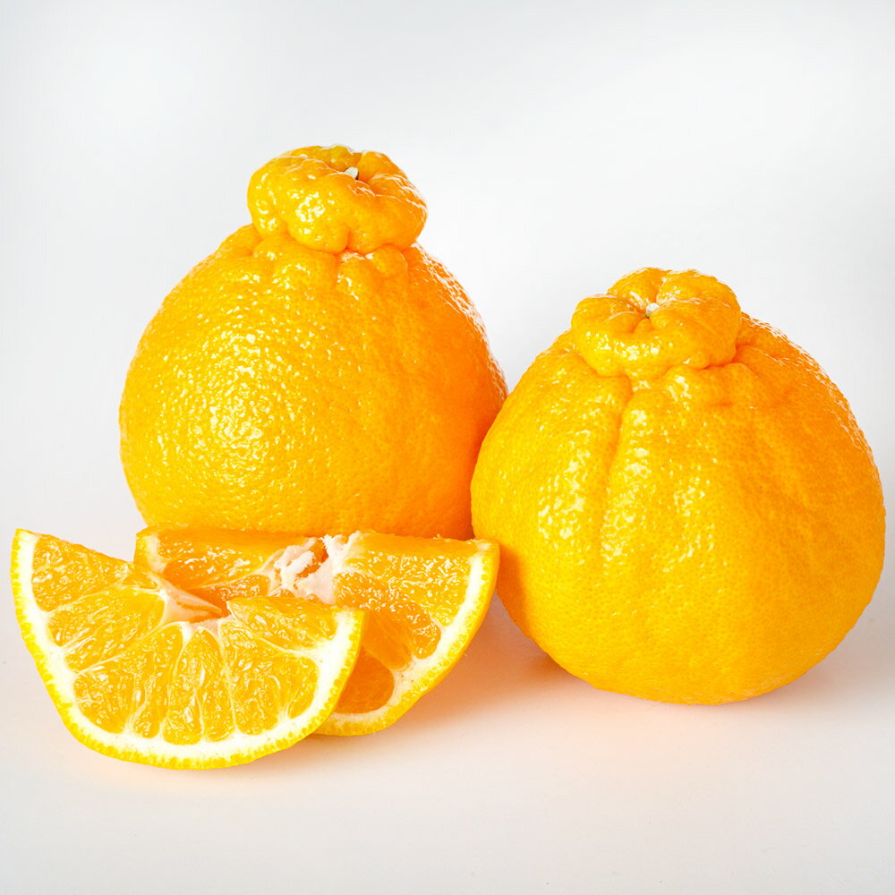 【ふるさと納税】環境マイスターの不知火 良品 合計約10kg 約5kg×2箱 15玉前後目安 （栽培期間中は無肥料・低農薬） 不知火 柑橘 フルーツ 果物 国産 九州産 熊本県産 冷蔵 送料無料【2026年1月上旬-4月下旬迄順次発送予定】 サムネイル2