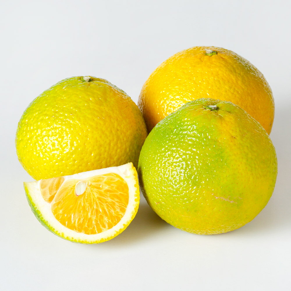 環境マイスターのスイートスプリング 良品 訳あり 混合 約4kg 20玉前後 （栽培期間中は無肥料・農薬不使用） スイートスプリング 蜜柑 みかん ミカン 柑橘 果物 国産 九州産 熊本県産 冷蔵 送料無料【2025年11月下旬‐2026年1月下旬迄順次発送予定】