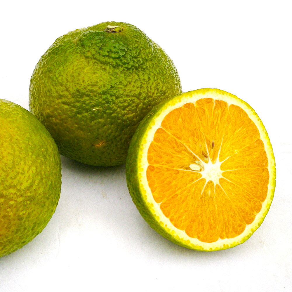 【ふるさと納税】環境マイスターのスイートスプリング 良品 訳あり 混合 約4kg 20玉前後 （栽培期間中は無肥料・農薬不使用） スイートスプリング 蜜柑 みかん ミカン 柑橘 果物 国産 九州産 熊本県産 冷蔵 送料無料【2025年11月下旬‐2026年1月下旬迄順次発送予定】 サムネイル2