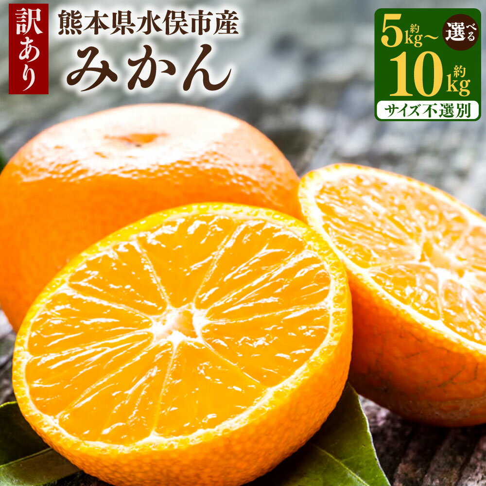 訳あり みかん ＜容量が選べる＞ 約5～10kg サイズ不選別 小玉～大玉 ご自宅用 家庭用 みかん 蜜柑 柑橘 フルーツ 果物 くだもの 国産 九州 熊本県 冷蔵 送料無料【2025年10月上旬から2026年2月下旬発送予定】