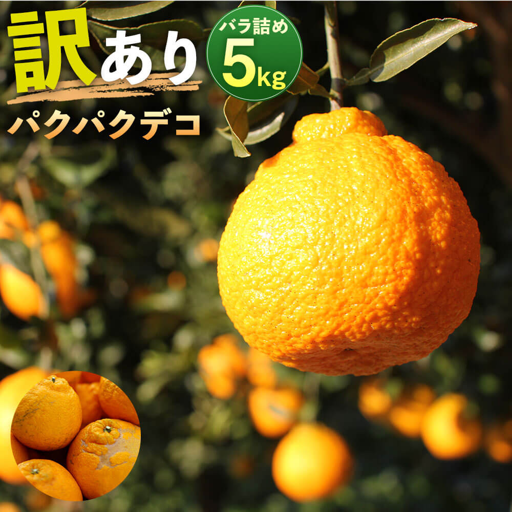 パクパクデコ 5kg バラ詰め 訳あり B品 予約 デコポン 不知火 傷あり サイズ混合 ご家庭用 九州産 熊本県産 果物 みかん 柑橘 送料無料 【2026年2月下旬-6月下旬発送】