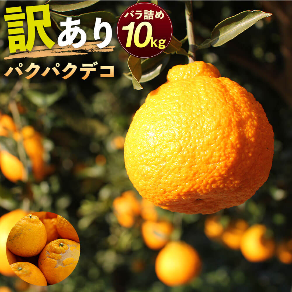 パクパクデコ 10kg バラ詰め 訳あり B品 予約 デコポン 不知火 傷あり サイズ混合 ご家庭用 九州産 熊本県産 果物 みかん 柑橘 送料無料 【2026年2月下旬-6月下旬発送】