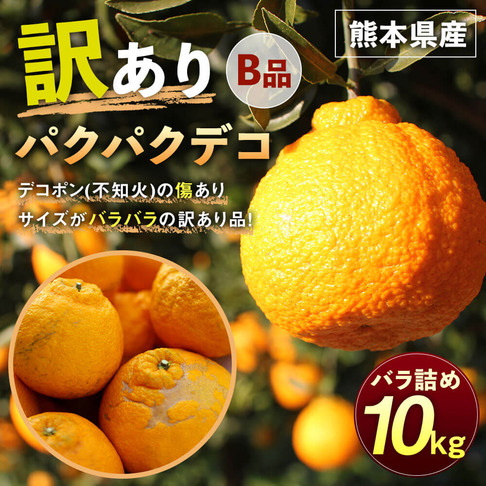 【ふるさと納税】パクパクデコ 10kg バラ詰め 訳あり B品 予約 デコポン 不知火 傷あり サイズ混合 ご家庭用 九州産 熊本県産 果物 みかん 柑橘 送料無料 【2026年2月下旬-6月下旬発送】 サムネイル2