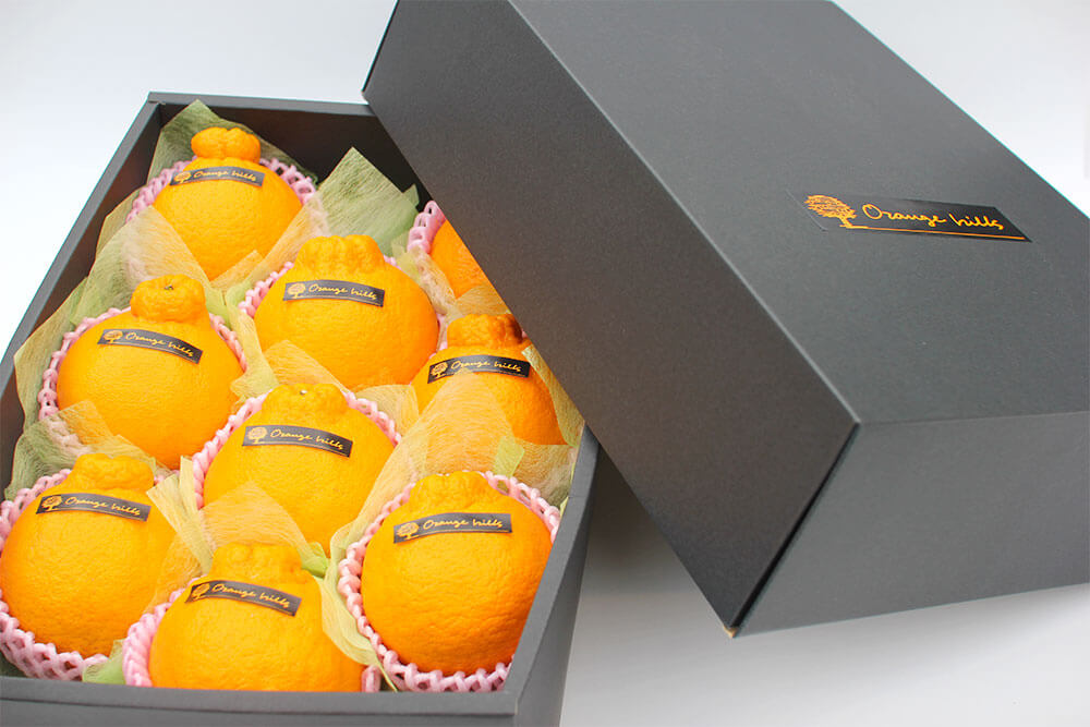 【ふるさと納税】プレミアムデコ 8玉 特選 化粧箱入り デコポン 不知火 九州産 熊本県産 果物 みかん 柑橘 送料無料【2026年2月下旬-6月下旬発送】 サムネイル3