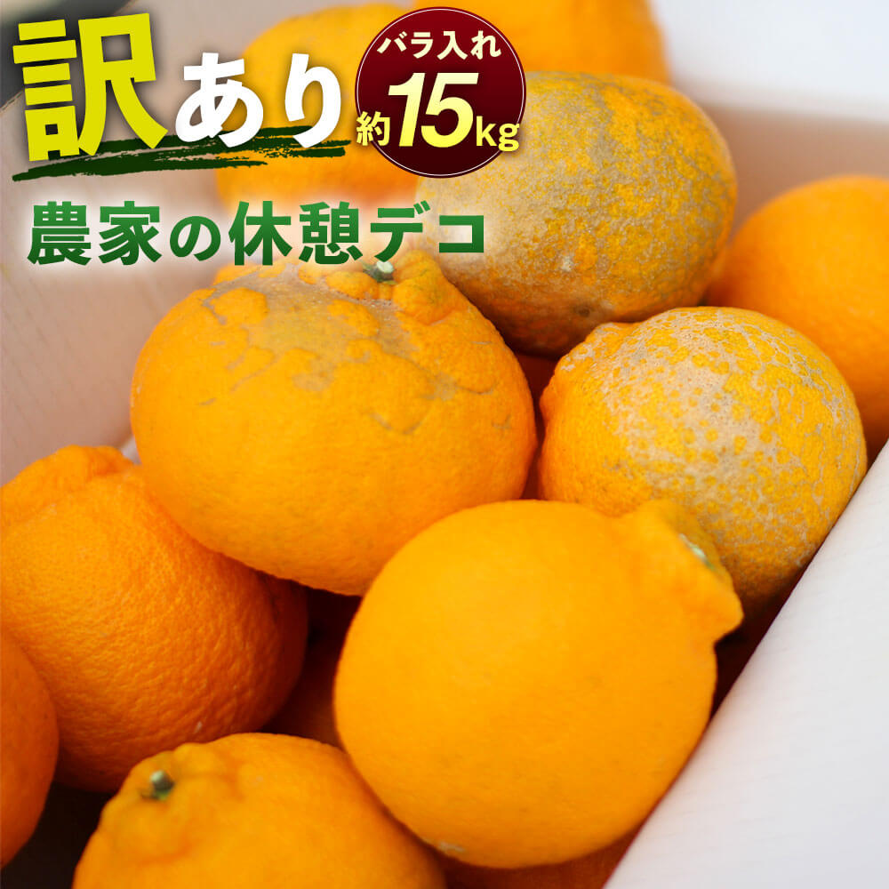 農家の休憩デコ 訳あり C品 約15kg デコポン 不知火 傷あり サイズ混合 段ボール箱 ご家庭用 九州産 熊本県産 果物 みかん 柑橘 送料無料【2026年2月下旬-6月下旬発送】
