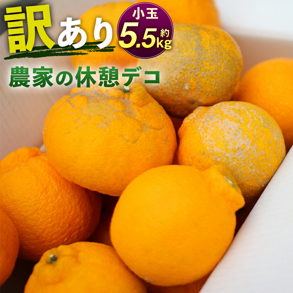 農家の休憩デコ 約5.5kg 訳あり 小玉 不知火 傷あり バラ ご家庭用 九州産 熊本県産 果物 みかん 柑橘 送料無料【2026年2月下旬-6月下旬発送】