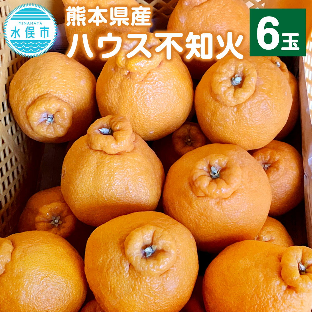 熊本県産 ハウス不知火 6玉 デコポン同一品種 不知火 しらぬい 柑橘 みかん 蜜柑 ミカン フルーツ 果物 国産 九州 送料無料【2025年11月下旬～12月上旬発送予定】