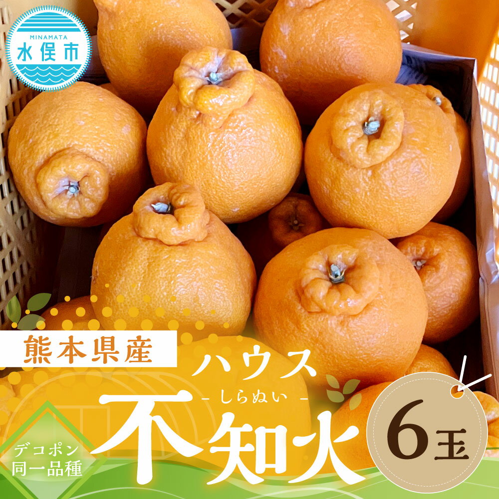 【ふるさと納税】熊本県産 ハウス不知火 6玉 デコポン同一品種 不知火 しらぬい 柑橘 みかん 蜜柑 ミカン フルーツ 果物 国産 九州 送料無料【2025年11月下旬～12月上旬発送予定】 サムネイル2