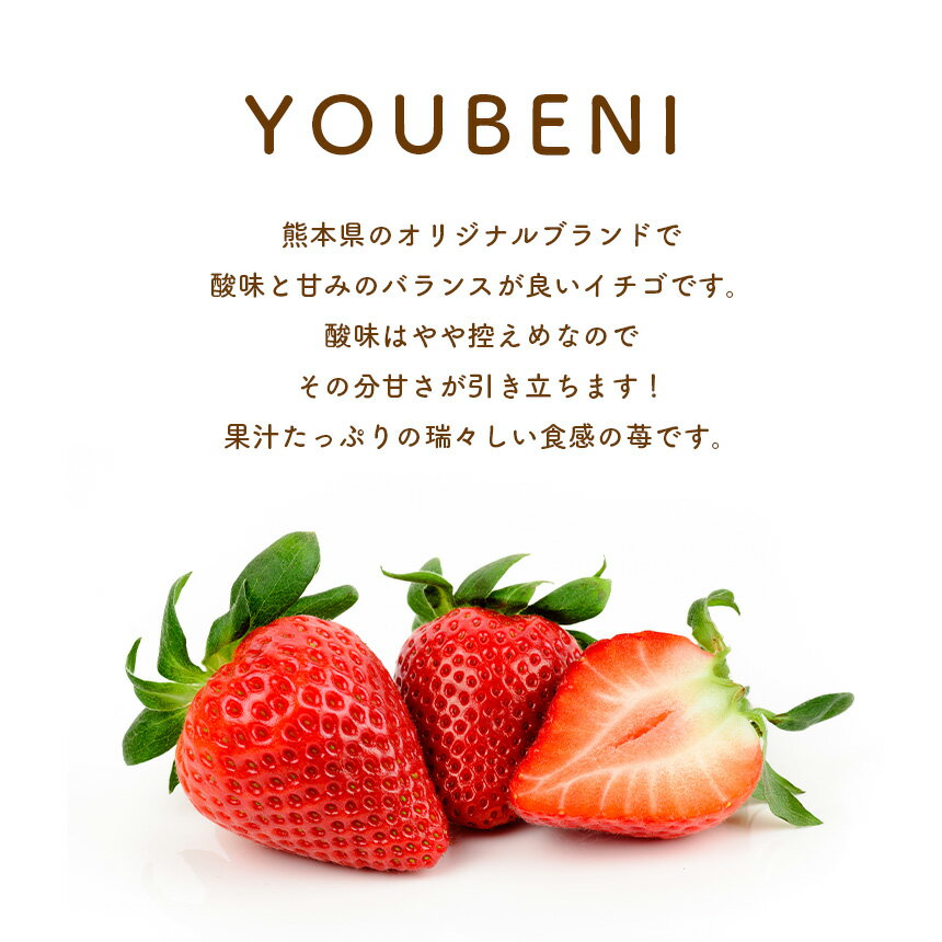 【ふるさと納税】定期便 3回 イチゴ ゆうべに 約1000g （250g×4パック） | 家庭用 大小混合 フルーツ 果物 くだもの 果実 いちご 苺 生産者直送 先行予約 熊本 玉名 横島 送料無料 サムネイル3