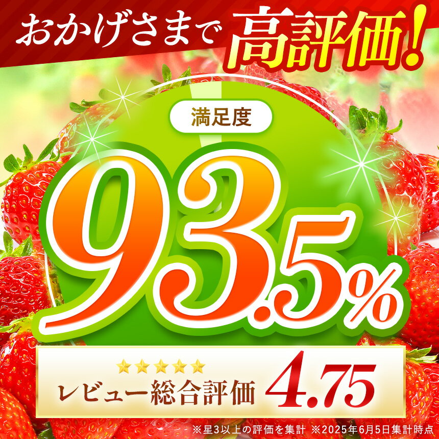 【ふるさと納税】 イチゴ 恋みのり ゆうべに 選べる 容量 約 500g (250g×2パック) or 約 1000g (250g×4パック) 発送回数 定期 訳あり | 果物 くだもの フルーツ いちご 苺 生産者直送 産地直送 送料無料 熊本県 玉名市 サムネイル2