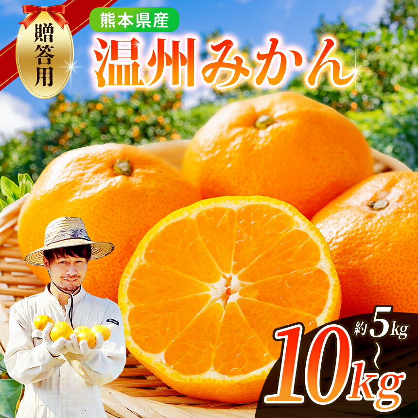 贈答用 ノナカ柑橘農園 温州みかん 選べる 5kg or 10kg ｜ 果物 くだもの フルーツ 柑橘 柑橘類 みかん 温州 贈答用 熊本県 玉名市